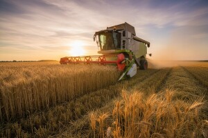 Kako do 5.200 kg po hektaru eko ječma?