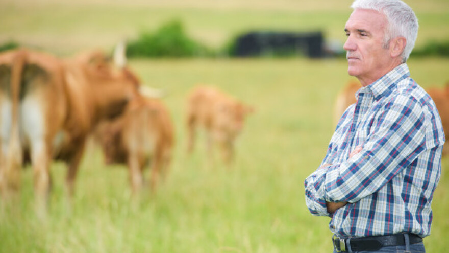 Kako do državnog dinara?