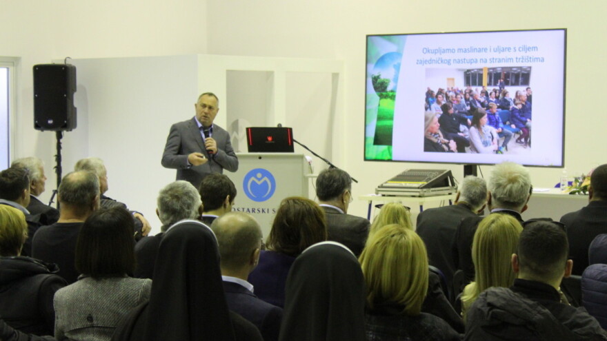 Kako do tisuću hektara pod maslinama u Hercegovini?