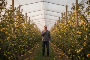 Kako je profesor geografije postao voćar?