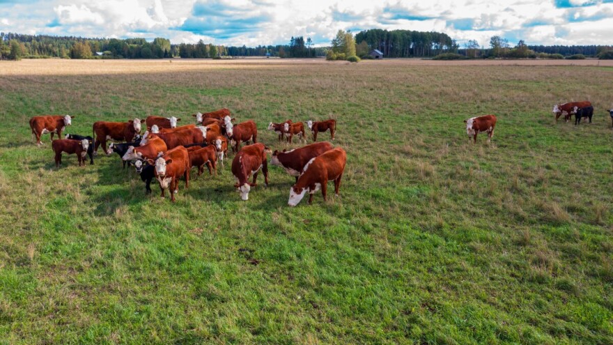 Kako kroz osam eko shema maksimizirati potpore u 2026. godini?