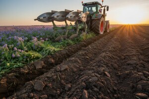 Kako odmoriti zemljište i povećati plodnost