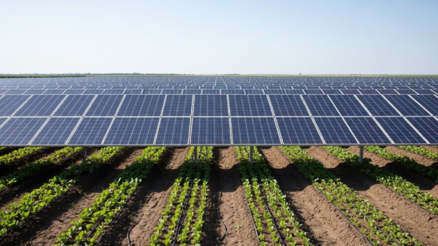 Kako pomoću sunčeve energije navodnjavati povrće?