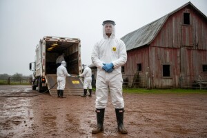 Kako postupiti s trihineloznim životinjama?