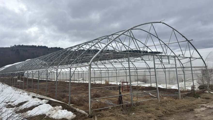 Kako pravilno rastaviti plastenik bez oštećenja konstrukcije?