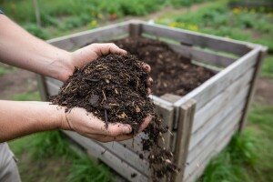 Kako proizvesti kompost, prirodnu hranu za biljke?