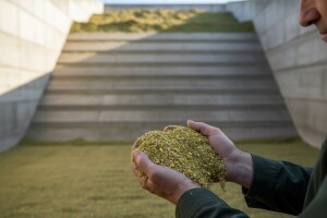 Kako sačuvati silažnu masu i smanjiti gubitke?