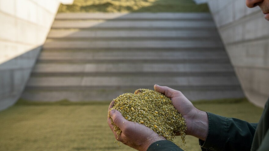 Kako sačuvati silažnu masu i smanjiti gubitke?