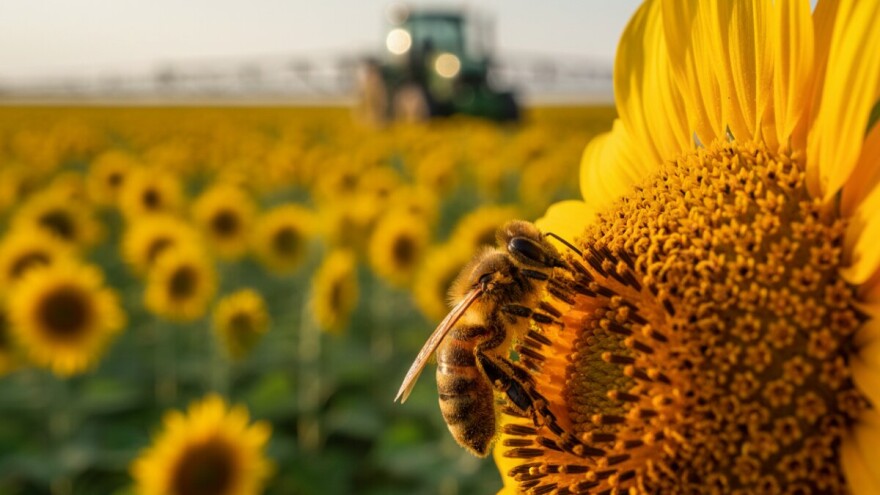 Kako spriječiti trovanje pčelinjih zajednica?