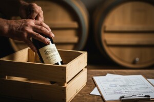 Kako staviti vino na tržište