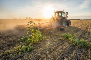 Kako uništiti ambroziju