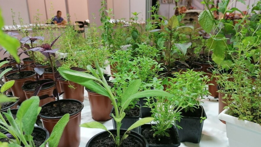 Treći Sajam lekovitog bilja i meda 17. i 18. septembra