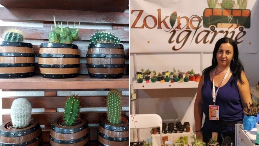 Od hobija do biznisa: Zokine iglarije samo za one mirne ruke