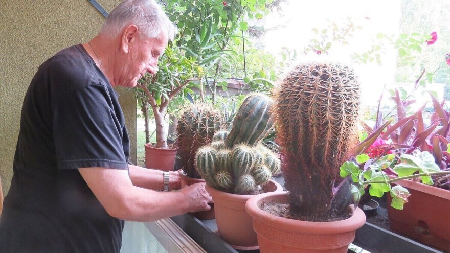 Enciklopedija o kaktusima jedinstven i pun ljubavi poduhvat dr Radomira Dumičića