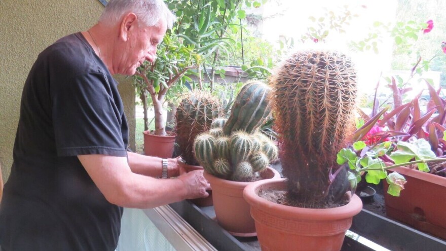 Enciklopedija o kaktusima jedinstven i pun ljubavi pothvat dr. Radomira Dumičića