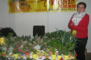 Od kaktusa do piva - sve na sajmu u Banja Luci