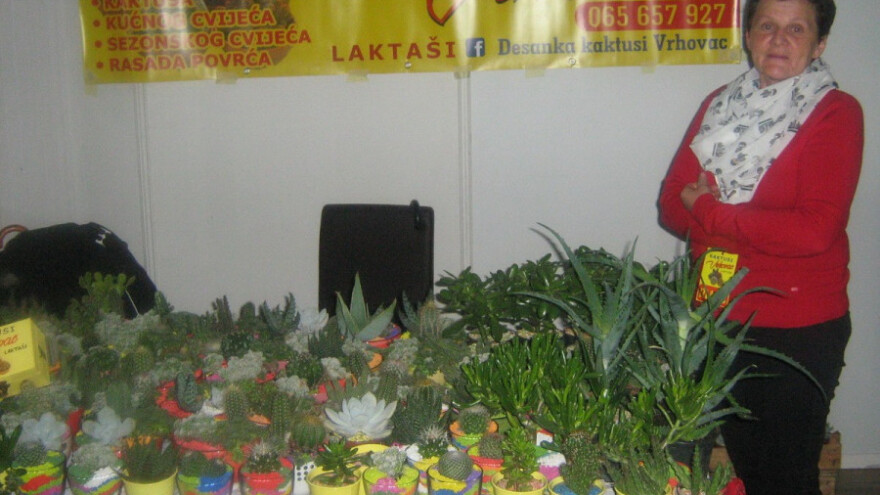 Od kaktusa do piva - sve na sajmu u Banja Luci