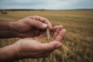 Kakva su ulaganja, takvi su i prinosi