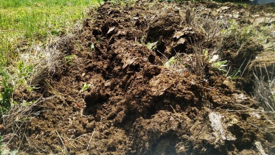 Kalcizacija suzbija "gola" mjesta na poljima