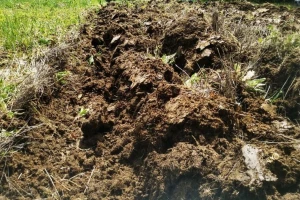 Kalcifikacija suzbija "ćelava" mjesta na njivama