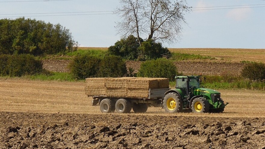 Kalcizacija poboljšava pH vrijednost zemljišta i sprječava razvoj gljivica