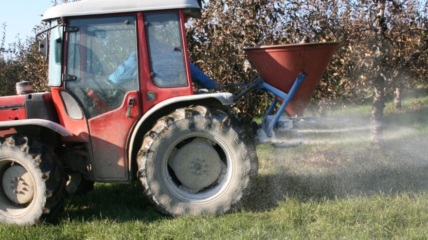 Pravilnom hranidbom kalcijem do sočnijih plodova