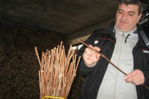 Kalemarstvo - zanat nastao zahvaljujući insektu