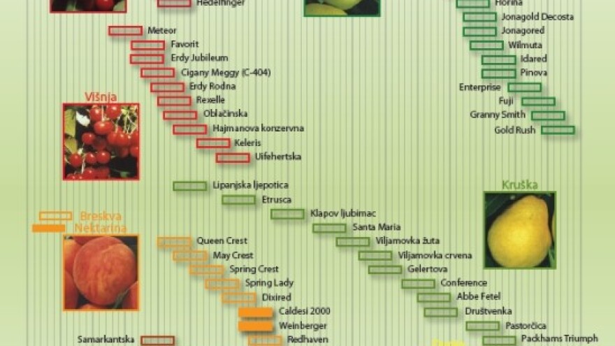 Kalendar dozijevanja voćnih vrsta rasadnika Kraš