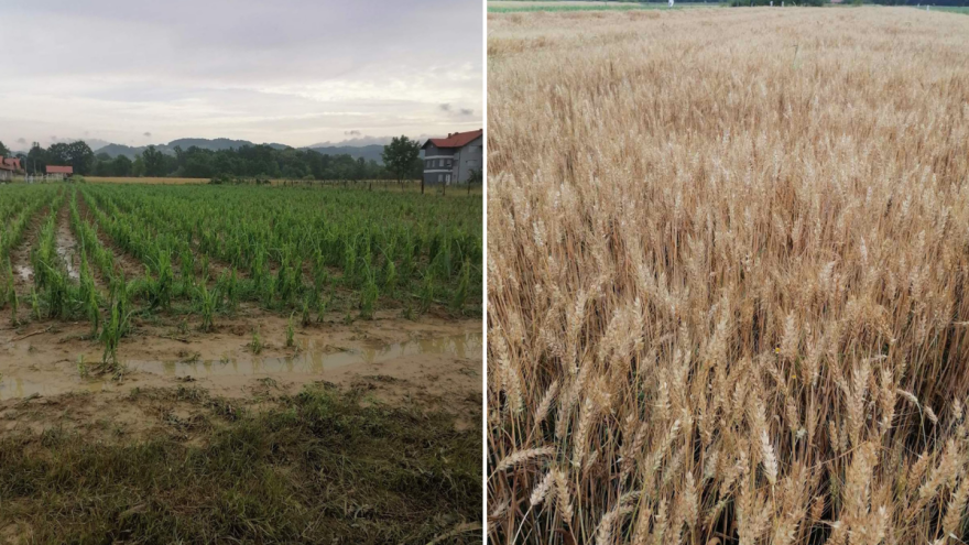 Serdarević nakon nevremena: "Ne daj Bože da se ponovi, bila bi totalna šteta"