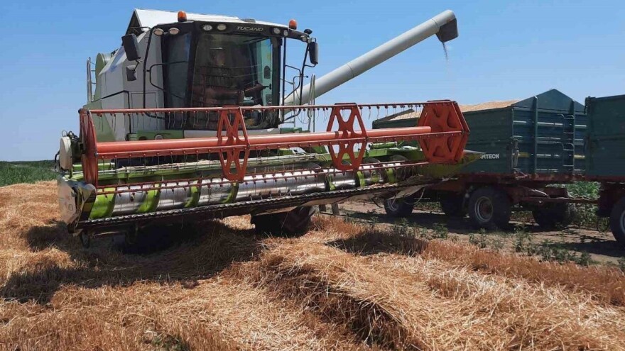 Nadležni najavili sufinansiranje domaće proizvodnje sjemena