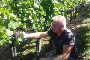 Sorta Kleščec bijeli - njezino vrijeme tek dolazi