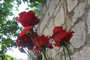 Tri prijatelja i seosko domaćinstvo