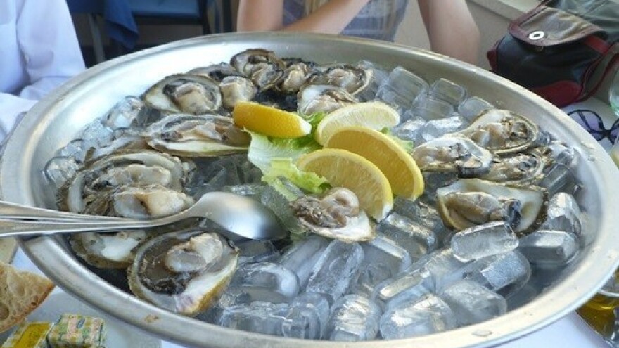 Dani malostonske kamenice