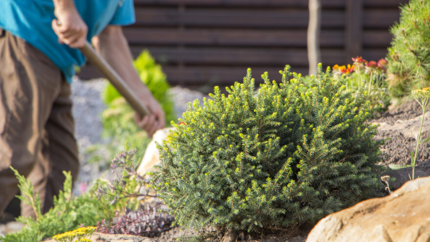 Kako napraviti kamenjar - mini planinu u vrtu