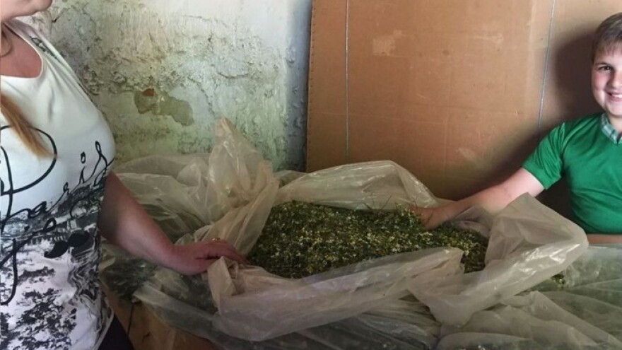 U Špišić Bukovici će se graditi kušaonica čaja