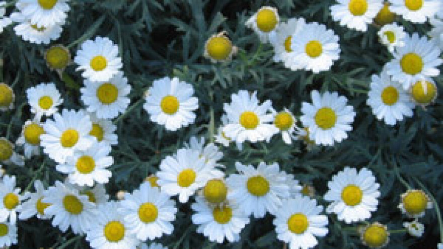 Jakovina označio početak velikih gospodarskih ulaganja