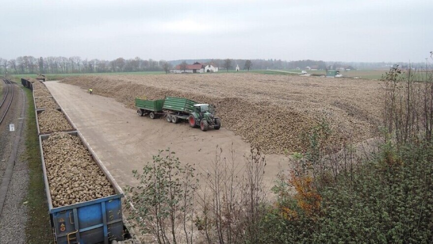 Proizvodnja krompira i šećerne repe smanjena za 16% u 2018.