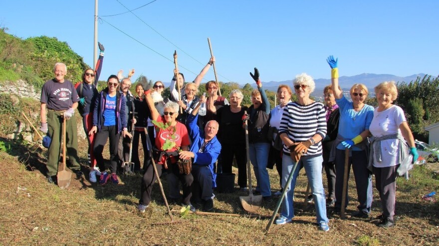Kampanja "Zasadi stablo, ne budi panj" se nastavlja - sudjelujte i ove godine!