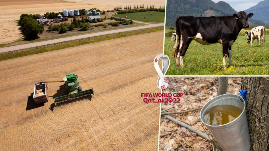 Kanada zbog nesporazuma dobila ime po selu - mljekari su im zaštićeni kao polarni medvjedi?