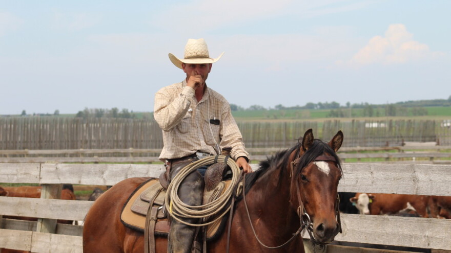 Vic koji to nije: Znate li koja je razlika između Evropljanina i Kanađanina?