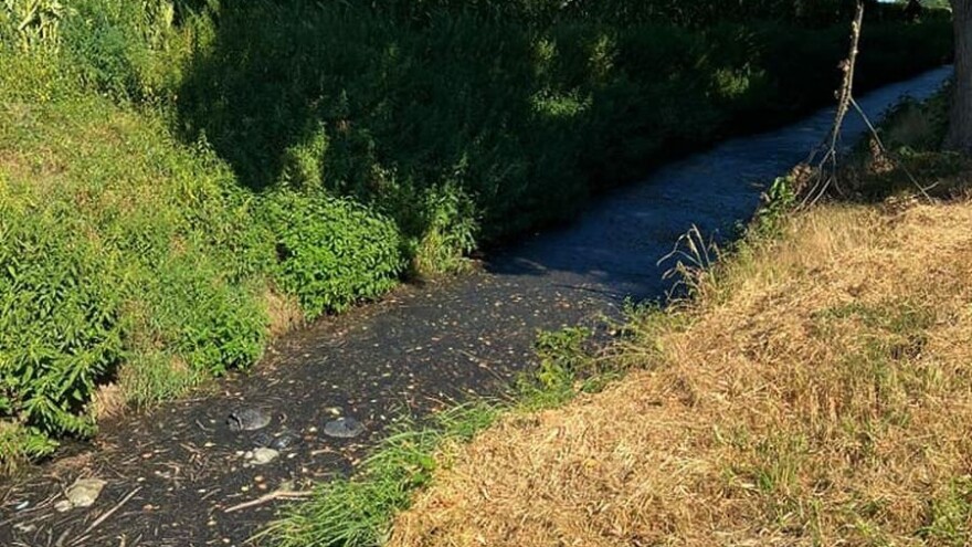 Iz kanala se širi nesnosan smrad, opetovano zvali Hrvatske vode, ali reakcije nema