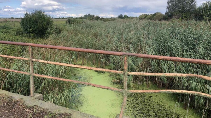 Zakonom propisano umanjenje naknade za odvodnjavanje, kome i pod kojim uslovima?