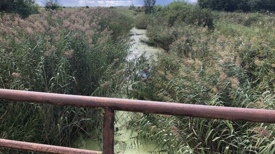 Ispunjen zahtev? Naknada za odvodnjavanje 50 odsto jeftinija, a od 2024. se ne plaća