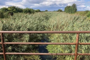 Da li je odvodnjavanje mit ili stvarno dobijamo uslugu koju plaćamo?
