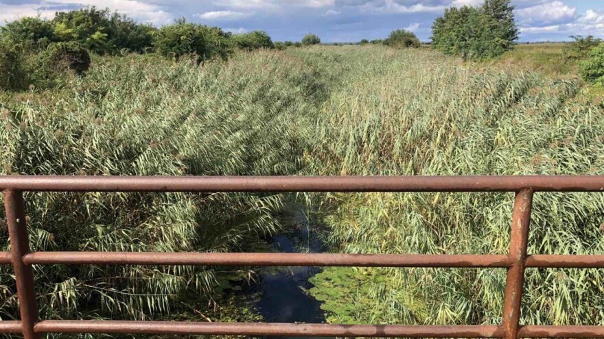 Da li je odvodnjavanje mit ili stvarno dobijamo uslugu koju plaćamo?