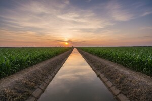 Kanali za odvodnjavanje važni za intenzivnu poljoprivredu