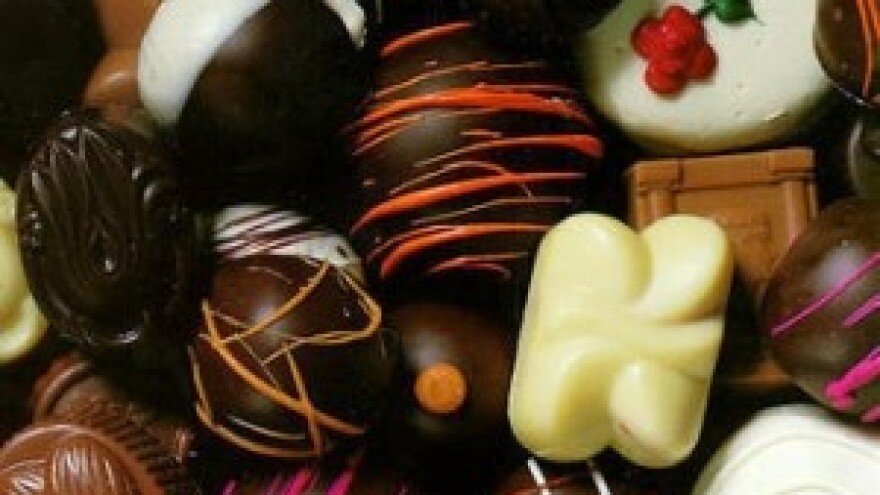 Za godinu dana Kandit će biti uspješna kompanija