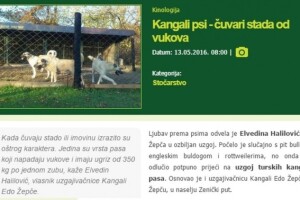 10 najčitanijih u maju!
