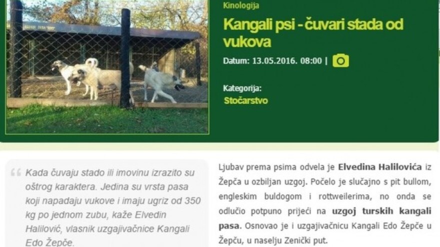 10 najčitanijih u maju!