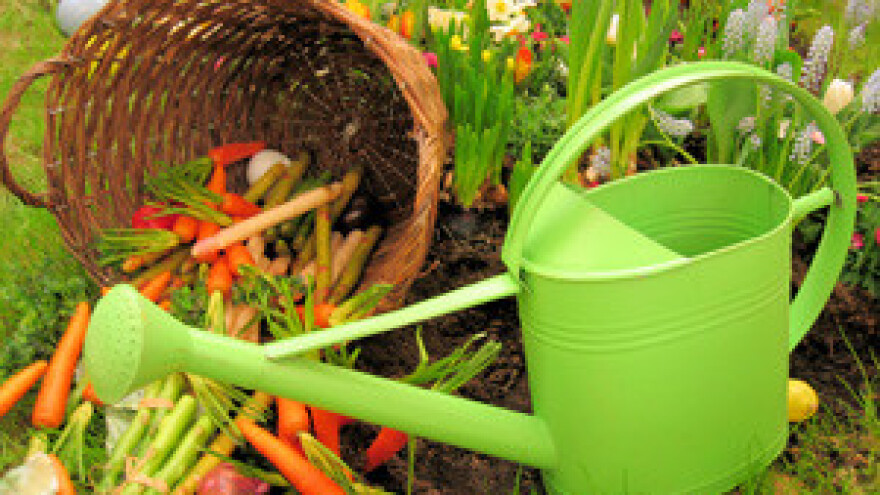 Izraelski Netafim nudi "kap po kap" za spas slavonskih poljoprivrednika